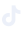 Tiktok icon
